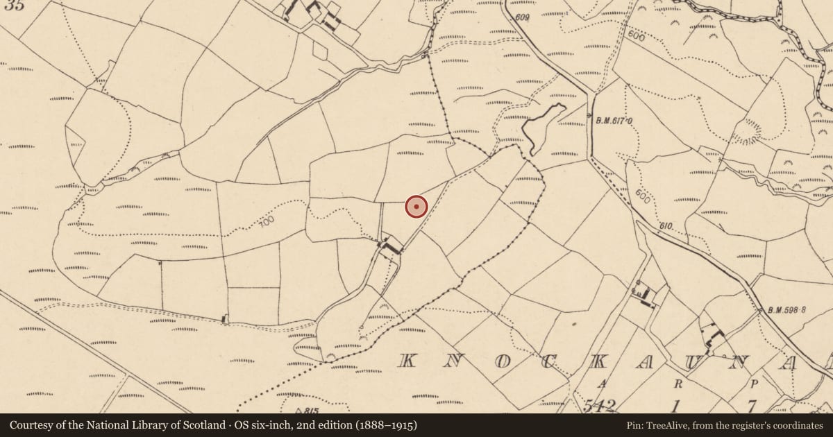 Ordnance Survey six-inch map, 2nd edition (1888–1915) covering the location of Enclosure, Mullenaboree, County Cork, with a pin at the register's coordinates