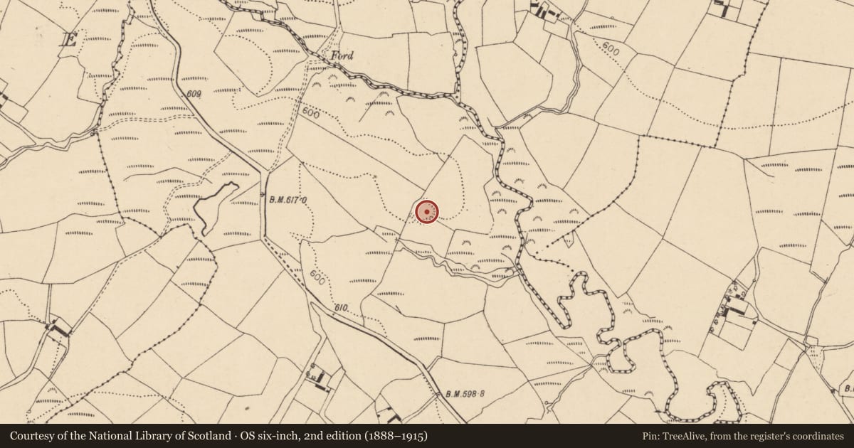 Ordnance Survey six-inch map, 2nd edition (1888–1915) covering the location of Ringfort - rath, Knockaunalour, County Cork, with a pin at the register's coordinates
