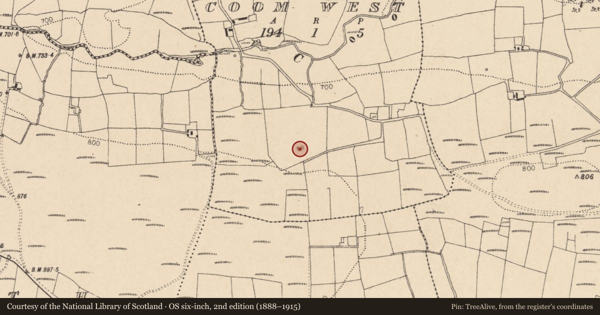 Ordnance Survey six-inch map, 2nd edition (1888–1915) covering the location of Enclosure, Coom West, County Cork, with a pin at the register's coordinates
