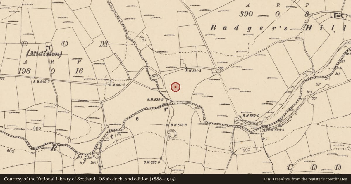 Ordnance Survey six-inch map, 2nd edition (1888–1915) covering the location of Earthwork, Knocknacaheragh, County Cork, with a pin at the register's coordinates