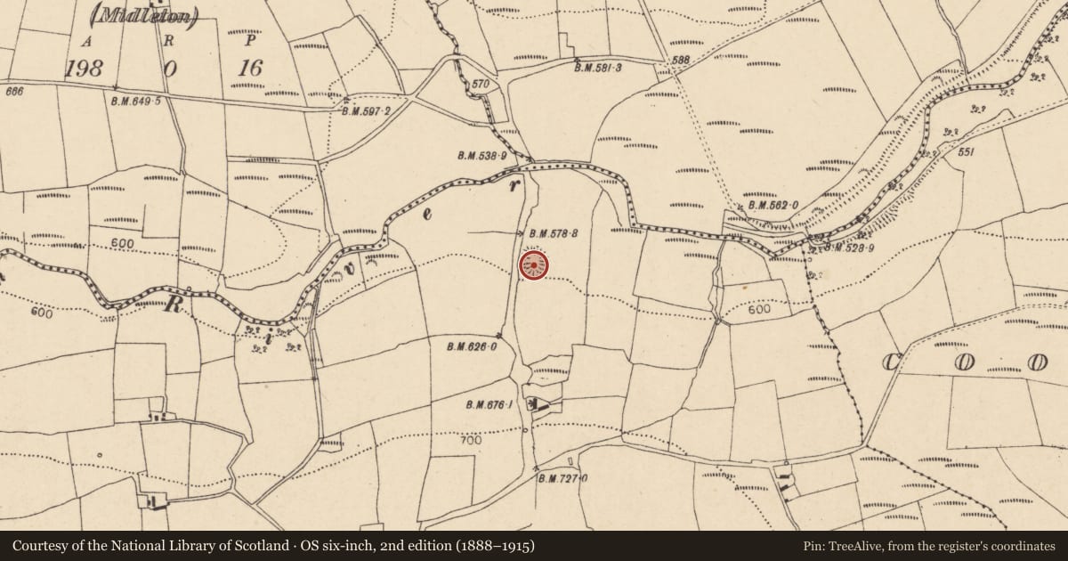 Ordnance Survey six-inch map, 2nd edition (1888–1915) covering the location of Ringfort - rath, Coom, County Cork, with a pin at the register's coordinates