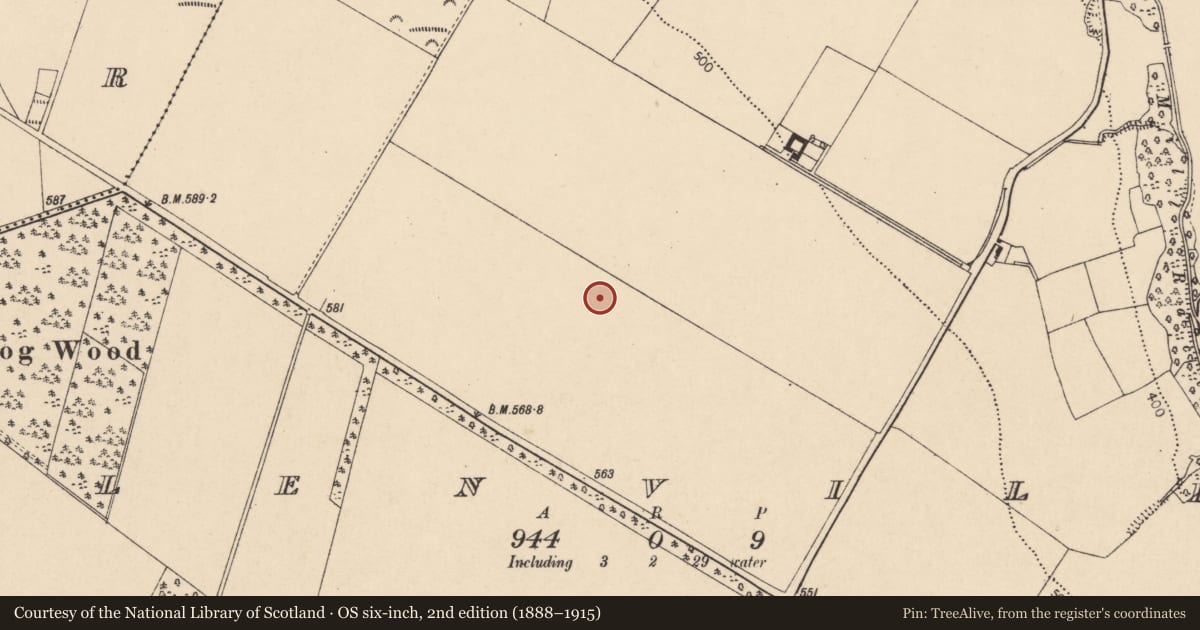 Ordnance Survey six-inch map, 2nd edition (1888–1915) covering the location of Enclosure, Glenville, County Cork, with a pin at the register's coordinates