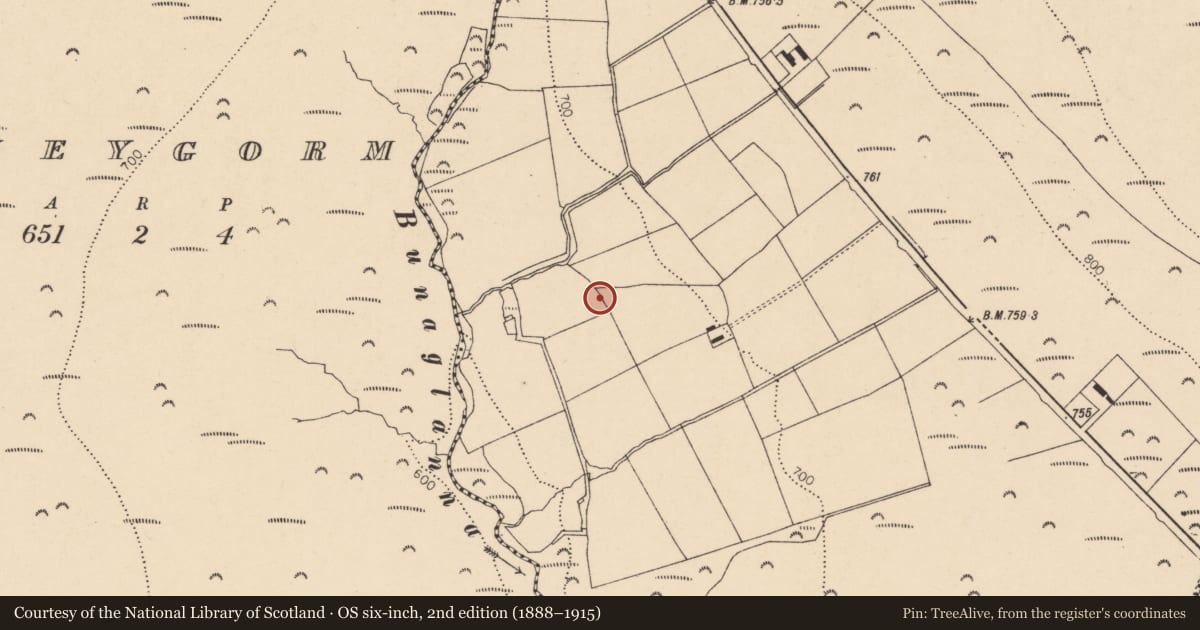 Ordnance Survey six-inch map, 2nd edition (1888–1915) covering the location of Ringfort - rath, Lackendarragh North, County Cork, with a pin at the register's coordinates