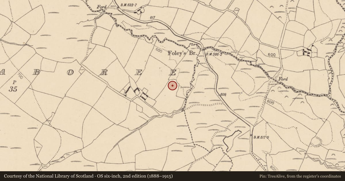 Ordnance Survey six-inch map, 2nd edition (1888–1915) covering the location of Enclosure, Mullenaboree, County Cork, with a pin at the register's coordinates