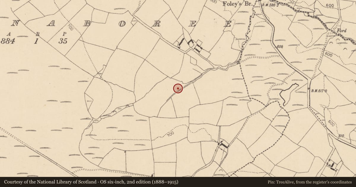 Ordnance Survey six-inch map, 2nd edition (1888–1915) covering the location of Burnt mound, Mullenaboree, County Cork, with a pin at the register's coordinates