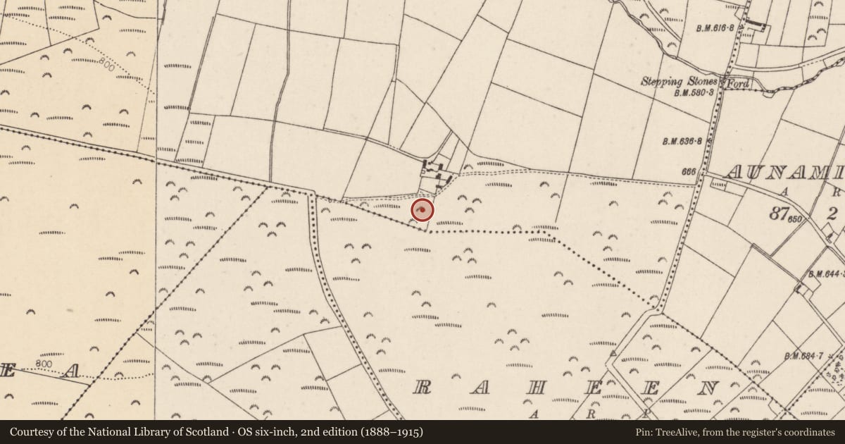 Ordnance Survey six-inch map, 2nd edition (1888–1915) covering the location of Fulacht fia, Moanlahan, County Cork, with a pin at the register's coordinates