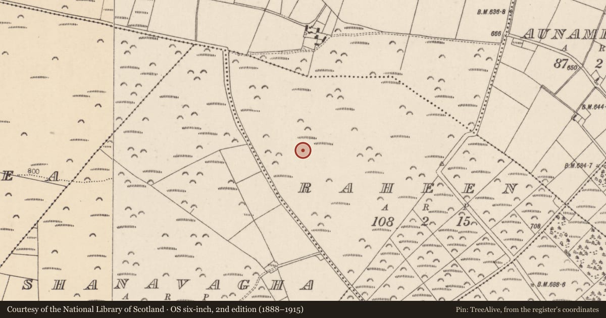 Ordnance Survey six-inch map, 2nd edition (1888–1915) covering the location of Fulacht fia, Raheen, County Cork, with a pin at the register's coordinates