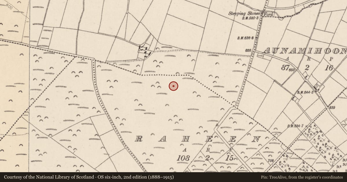 Ordnance Survey six-inch map, 2nd edition (1888–1915) covering the location of Fulacht fia, Raheen, County Cork, with a pin at the register's coordinates