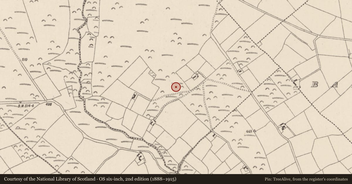 Ordnance Survey six-inch map, 2nd edition (1888–1915) covering the location of Fulacht fia, Rathcormack-Mountain, County Cork, with a pin at the register's coordinates