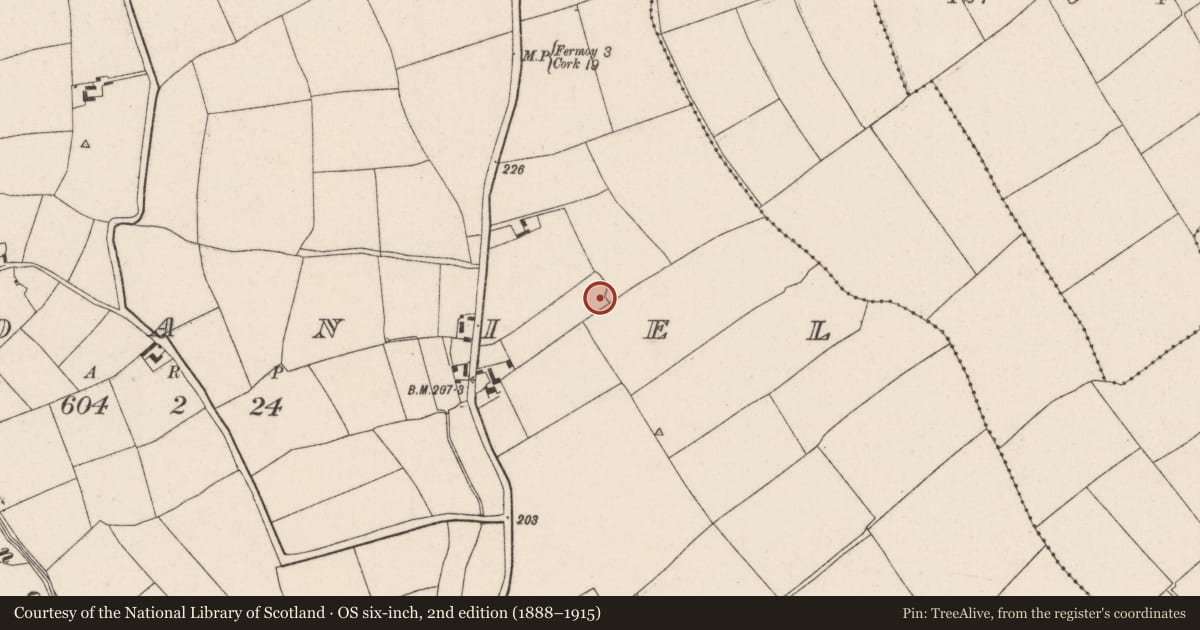 Ordnance Survey six-inch map, 2nd edition (1888–1915) covering the location of Ringfort - rath, Mondaniel, County Cork, with a pin at the register's coordinates