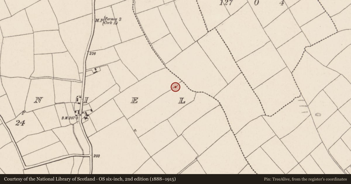 Ordnance Survey six-inch map, 2nd edition (1888–1915) covering the location of Ringfort - rath, Mondaniel, County Cork, with a pin at the register's coordinates