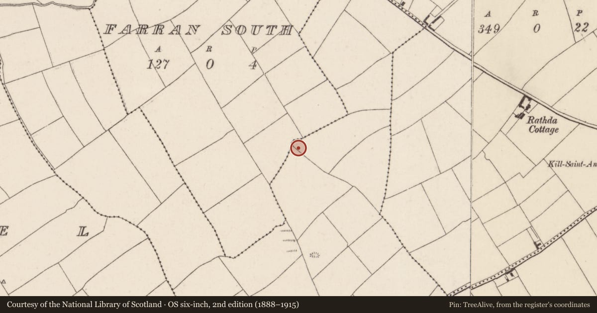 Ordnance Survey six-inch map, 2nd edition (1888–1915) covering the location of Ringfort - rath, Corrin, County Cork, with a pin at the register's coordinates