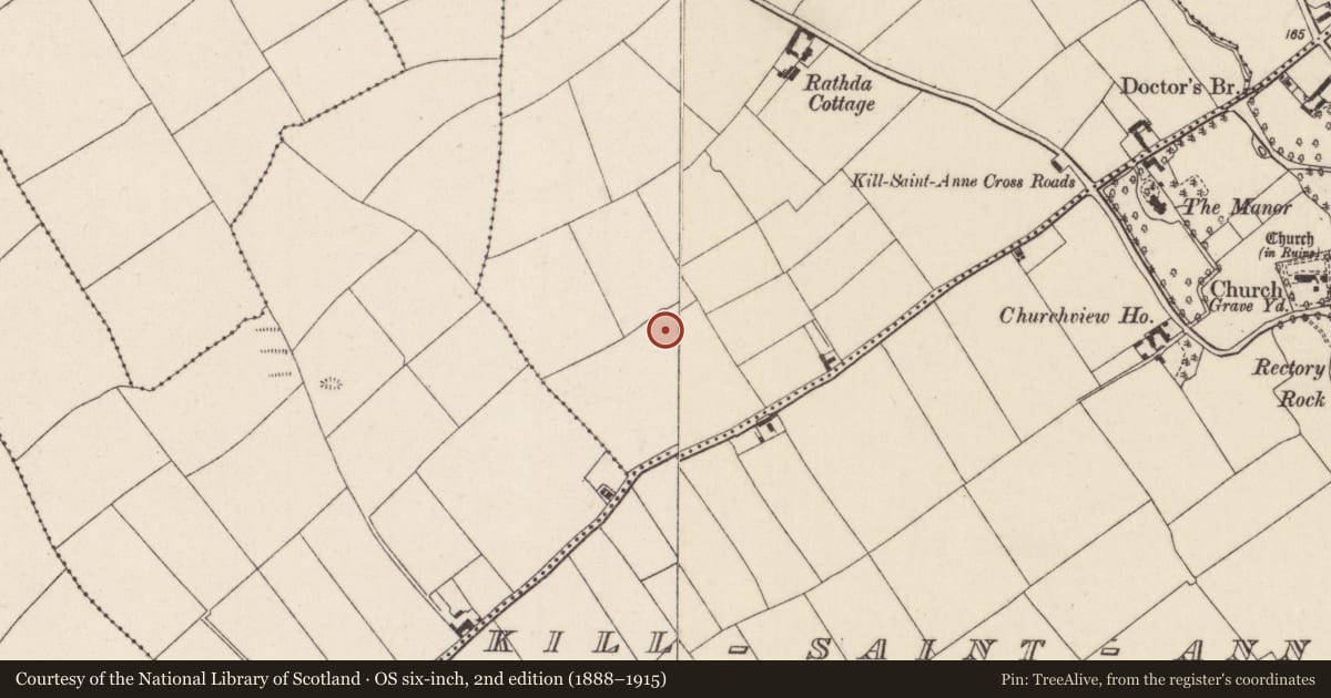 Ordnance Survey six-inch map, 2nd edition (1888–1915) covering the location of Ringfort - rath, Kill Saint Anne North, County Cork, with a pin at the register's coordinates