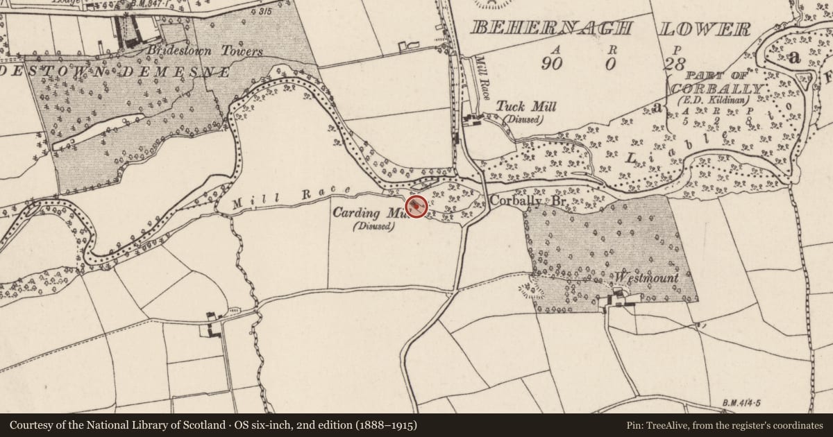 Ordnance Survey six-inch map, 2nd edition (1888–1915) covering the location of Mill - carding, Corbally (Barrymore By., Ardnageehy Par.), County Cork, with a pin at the register's coordinates