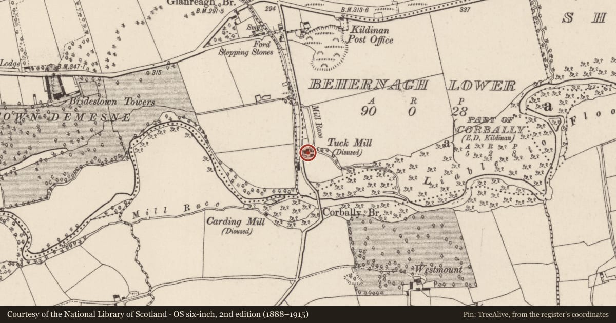Ordnance Survey six-inch map, 2nd edition (1888–1915) covering the location of Mill - fulling, Behernagh Lower, County Cork, with a pin at the register's coordinates