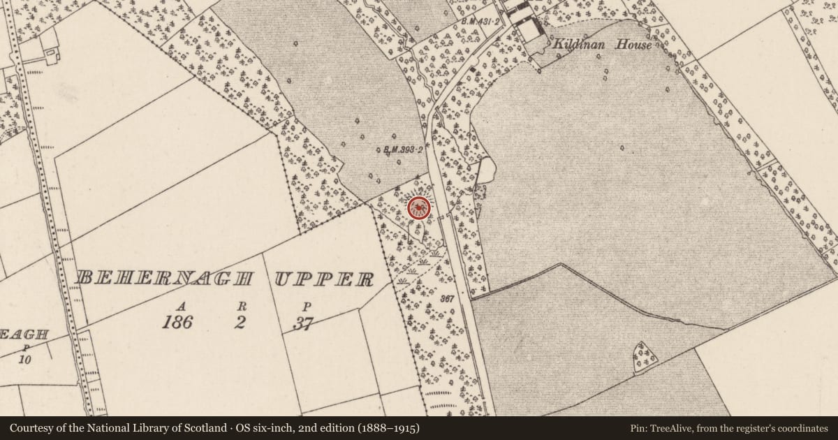Ordnance Survey six-inch map, 2nd edition (1888–1915) covering the location of Enclosure, Kildinan, County Cork, with a pin at the register's coordinates