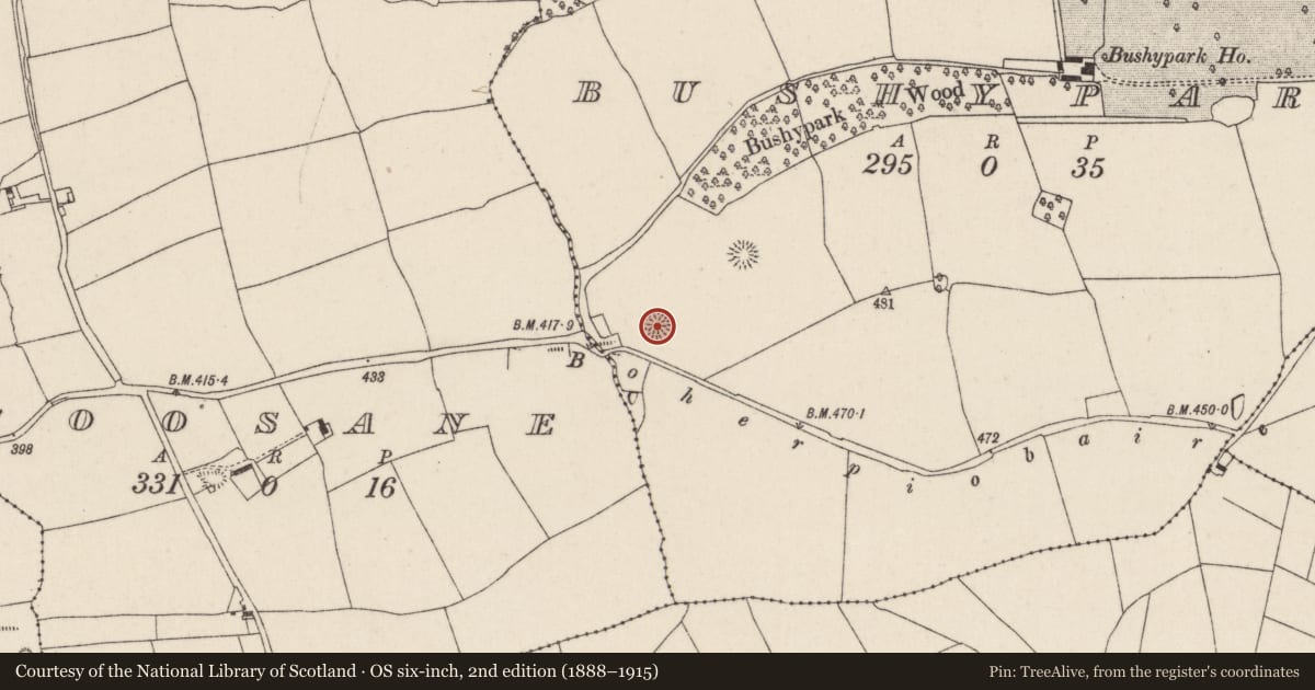 Ordnance Survey six-inch map, 2nd edition (1888–1915) covering the location of Ringfort - rath, Bushypark, County Cork, with a pin at the register's coordinates