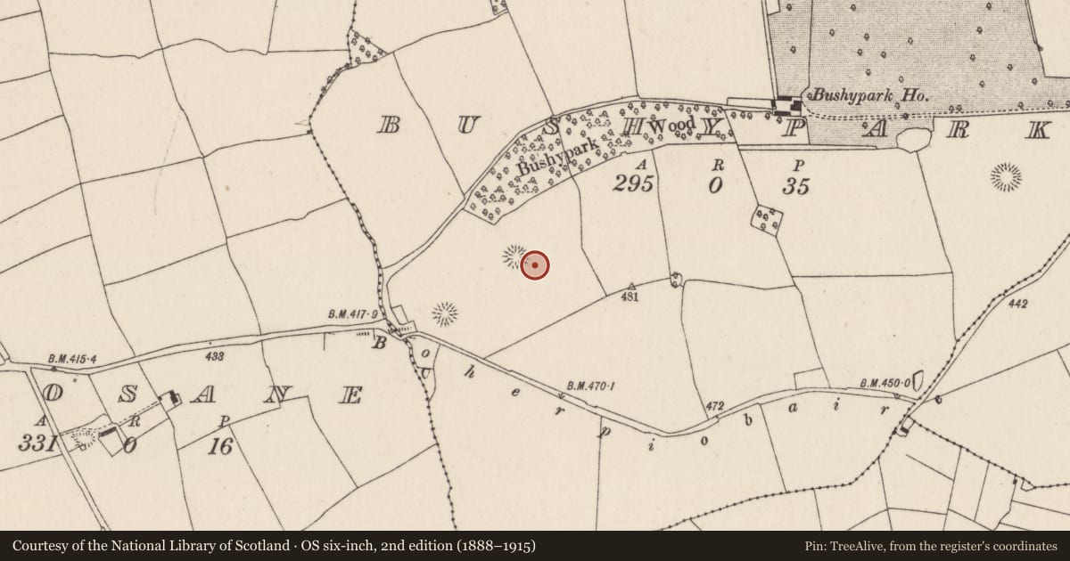 Ordnance Survey six-inch map, 2nd edition (1888–1915) covering the location of Ringfort - rath, Bushypark, County Cork, with a pin at the register's coordinates