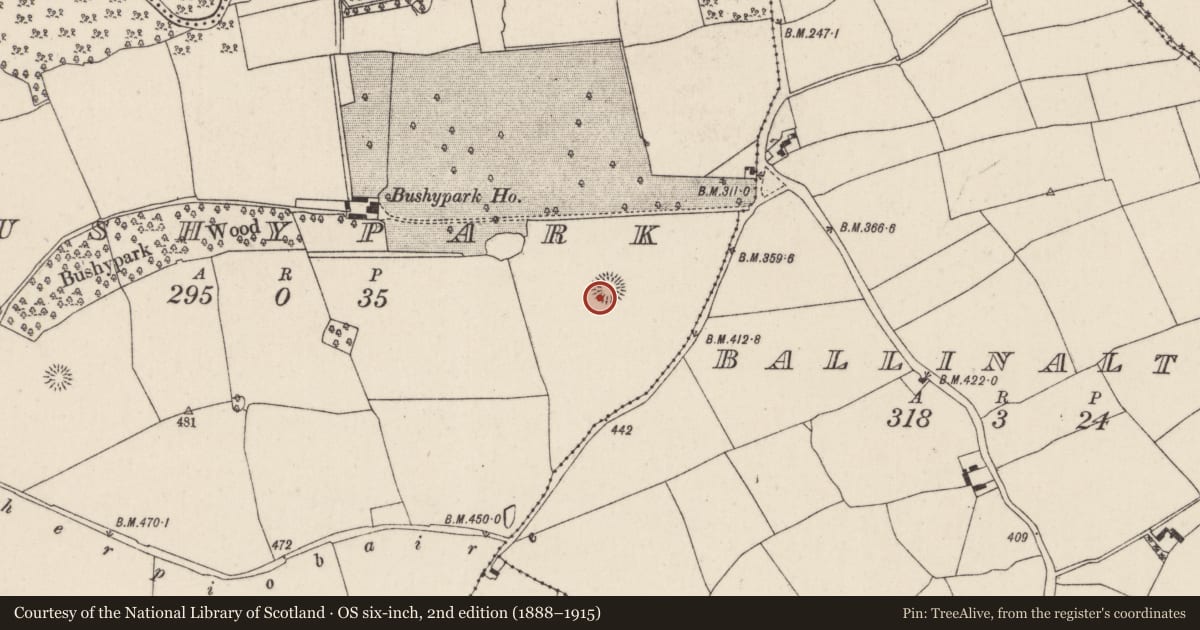 Ordnance Survey six-inch map, 2nd edition (1888–1915) covering the location of Ringfort - rath, Bushypark, County Cork, with a pin at the register's coordinates