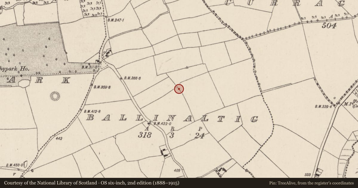 Ordnance Survey six-inch map, 2nd edition (1888–1915) covering the location of Ringfort - rath, Ballinaltig, County Cork, with a pin at the register's coordinates