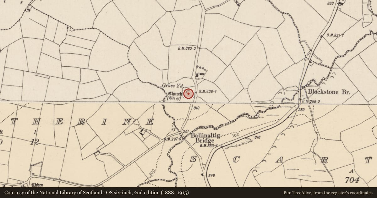 Ordnance Survey six-inch map, 2nd edition (1888–1915) covering the location of Graveyard, Ballinaltig, County Cork, with a pin at the register's coordinates
