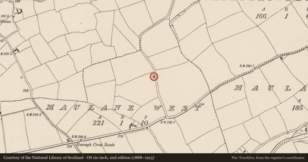 Ordnance Survey six-inch map, 2nd edition (1888–1915) covering the location of Kiln - lime, Maulane West, County Cork, with a pin at the register's coordinates