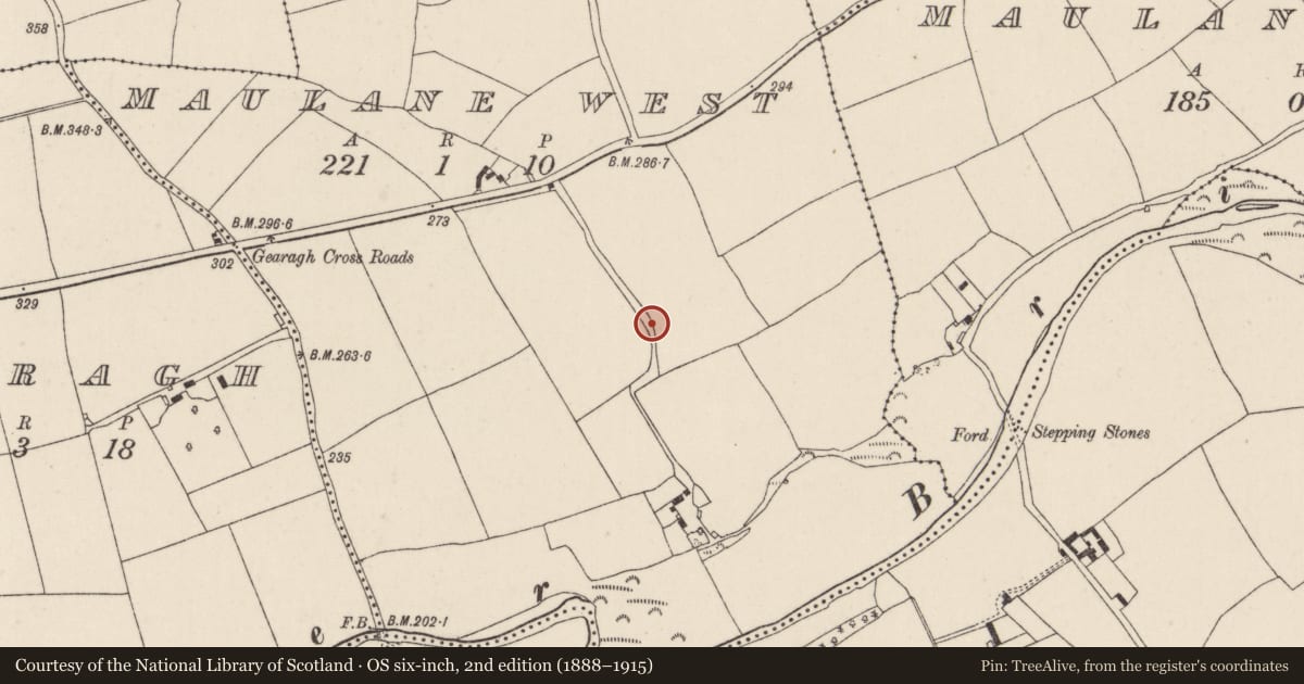 Ordnance Survey six-inch map, 2nd edition (1888–1915) covering the location of Kiln - lime, Maulane West, County Cork, with a pin at the register's coordinates