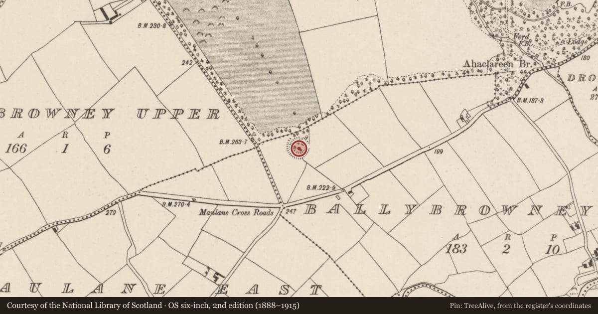 Ordnance Survey six-inch map, 2nd edition (1888–1915) covering the location of Ringfort - rath, Ballybrowney Lower, County Cork, with a pin at the register's coordinates