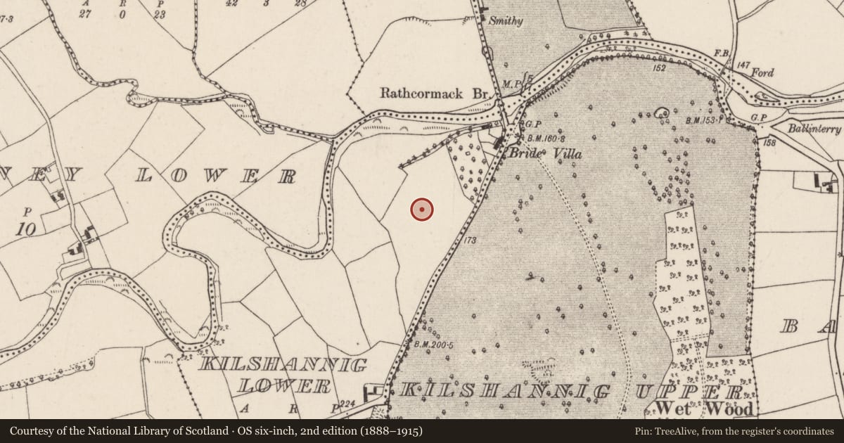 Ordnance Survey six-inch map, 2nd edition (1888–1915) covering the location of Enclosure, Kilshannig Lower, County Cork, with a pin at the register's coordinates