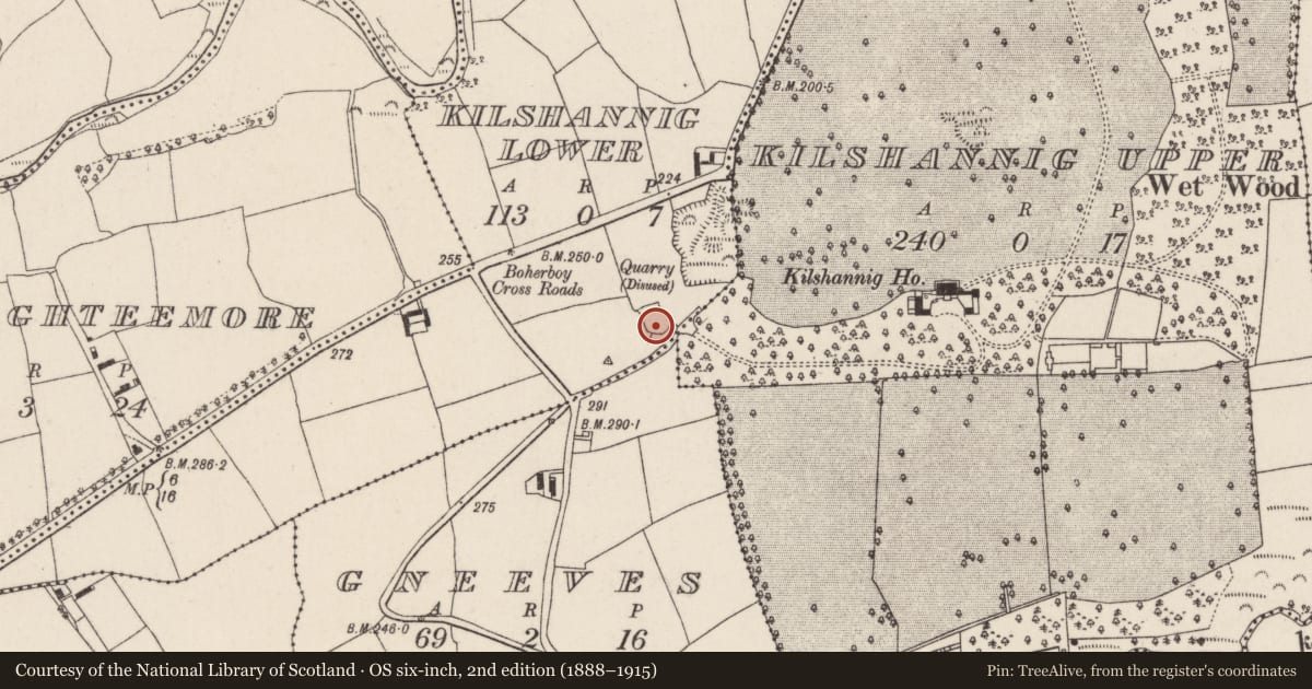Ordnance Survey six-inch map, 2nd edition (1888–1915) covering the location of Ringfort - rath, Kilshannig Lower, County Cork, with a pin at the register's coordinates