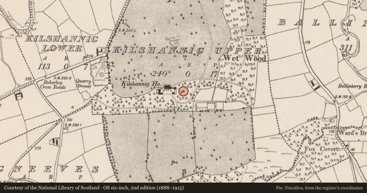Ordnance Survey six-inch map, 2nd edition (1888–1915) covering the location of Icehouse, Kilshannig Upper, County Cork, with a pin at the register's coordinates