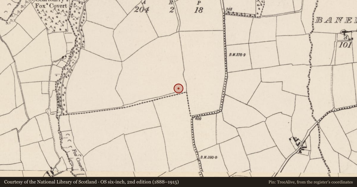 Ordnance Survey six-inch map, 2nd edition (1888–1915) covering the location of Ringfort - rath, Ballyglissane, County Cork, with a pin at the register's coordinates