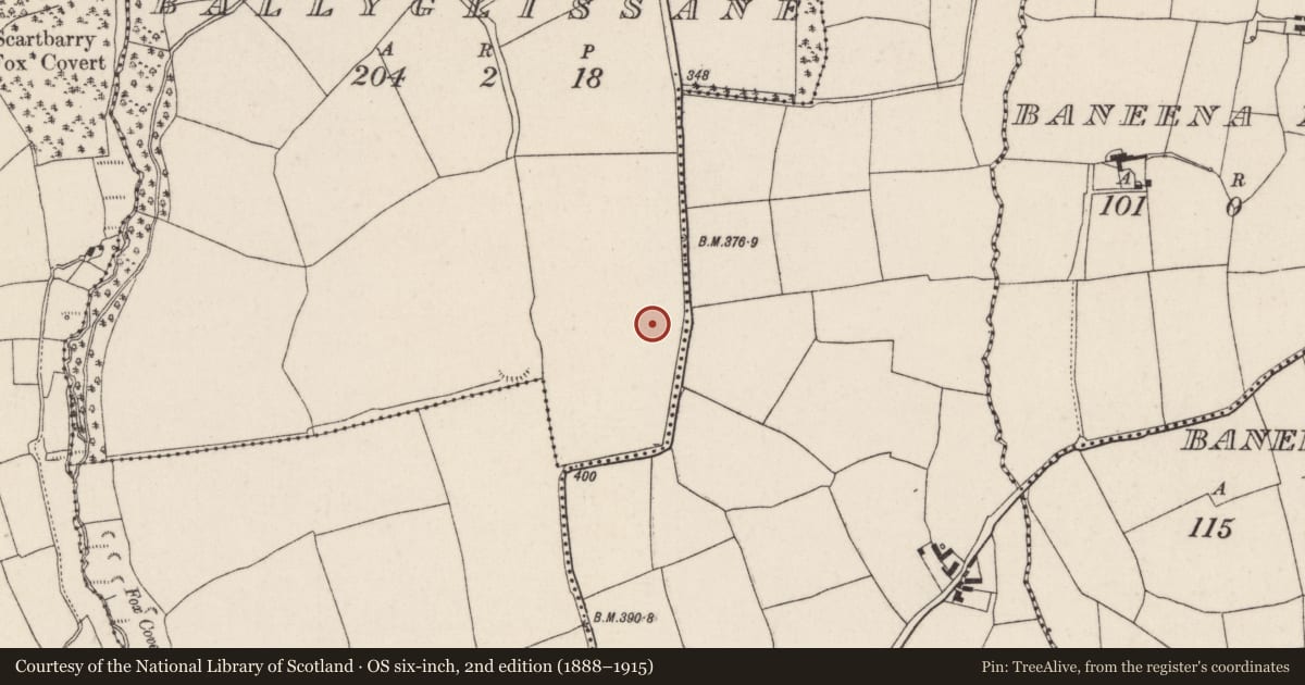 Ordnance Survey six-inch map, 2nd edition (1888–1915) covering the location of Ringfort - rath, Ballyglissane, County Cork, with a pin at the register's coordinates