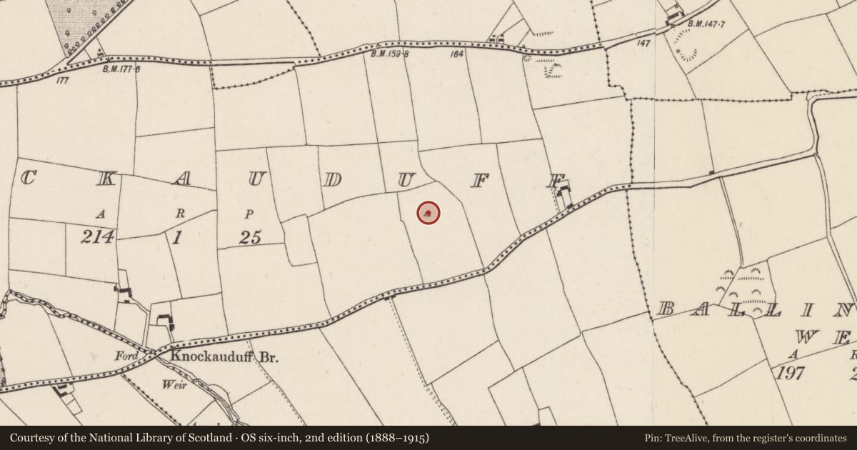 Ordnance Survey six-inch map, 2nd edition (1888–1915) covering the location of Ringfort - rath, Knockaunduff, County Cork, with a pin at the register's coordinates