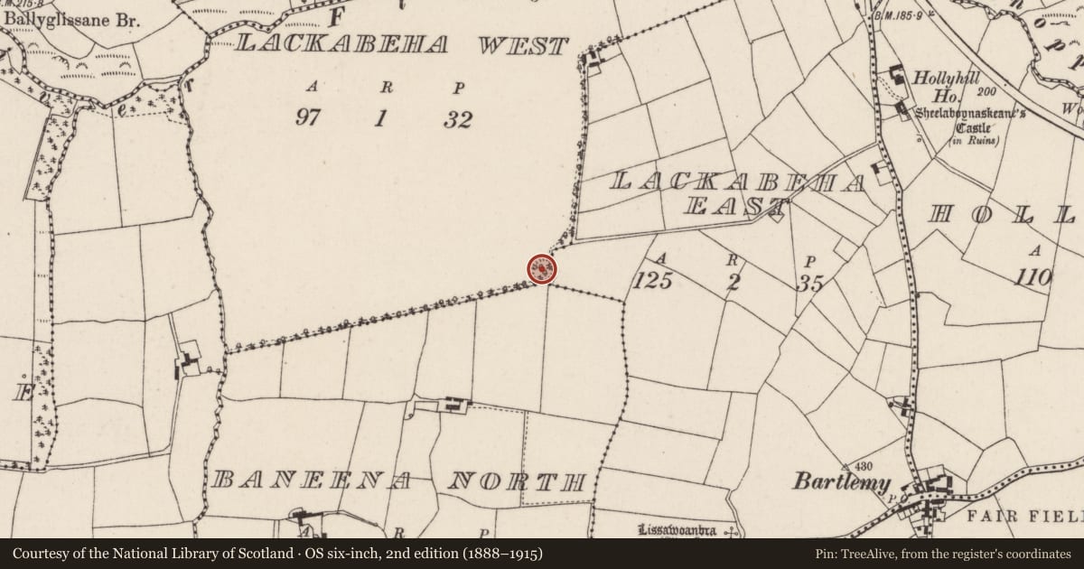 Ordnance Survey six-inch map, 2nd edition (1888–1915) covering the location of Ringfort - rath, Lackabeha West, County Cork, with a pin at the register's coordinates