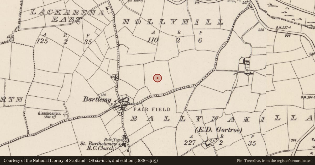 Ordnance Survey six-inch map, 2nd edition (1888–1915) covering the location of Standing stone, Hollyhill, County Cork, with a pin at the register's coordinates