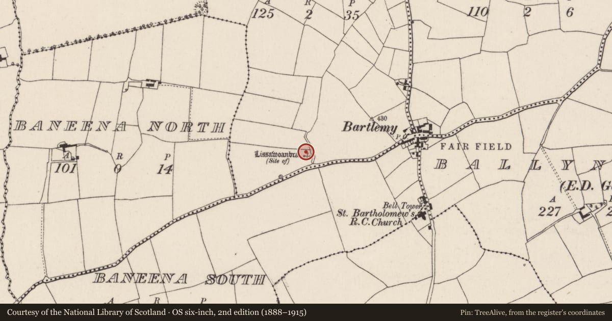 Ordnance Survey six-inch map, 2nd edition (1888–1915) covering the location of Ringfort - rath, Lackabeha East, County Cork, with a pin at the register's coordinates