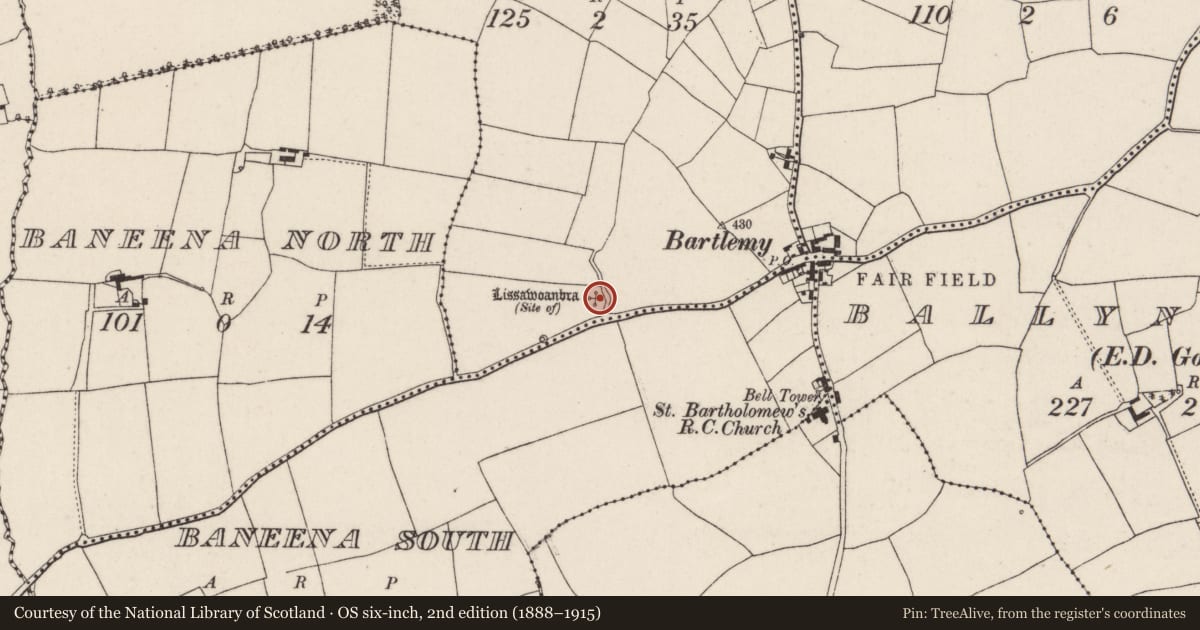 Ordnance Survey six-inch map, 2nd edition (1888–1915) covering the location of Standing stone - pair, Lackabeha East, County Cork, with a pin at the register's coordinates