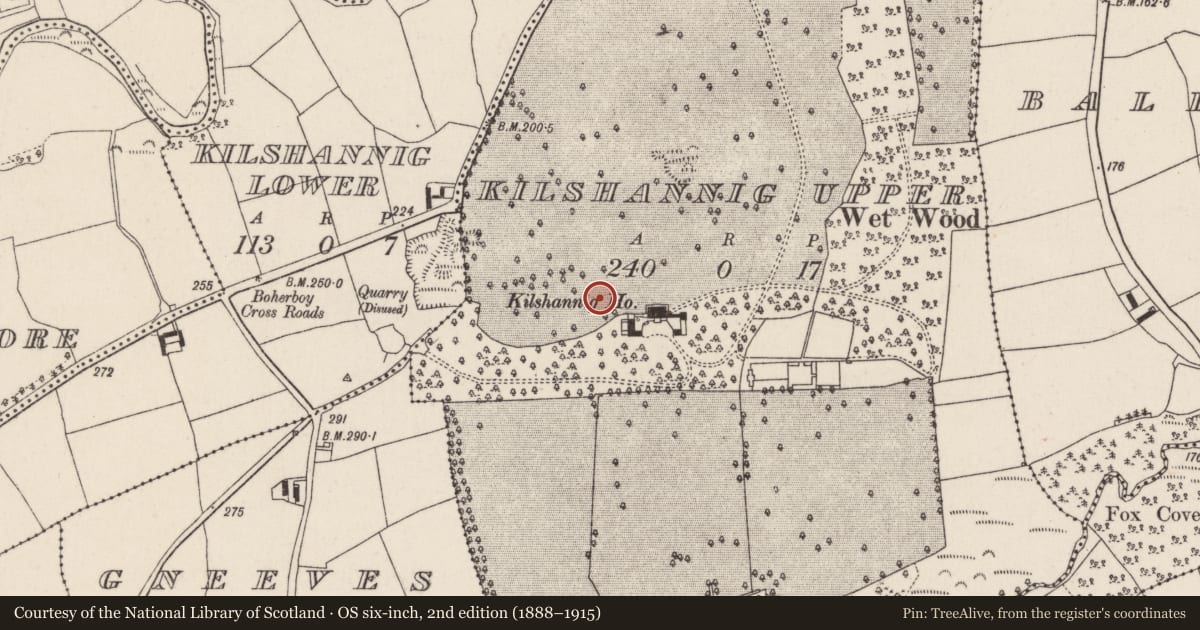 Ordnance Survey six-inch map, 2nd edition (1888–1915) covering the location of Graveyard, Kilshannig Upper, County Cork, with a pin at the register's coordinates