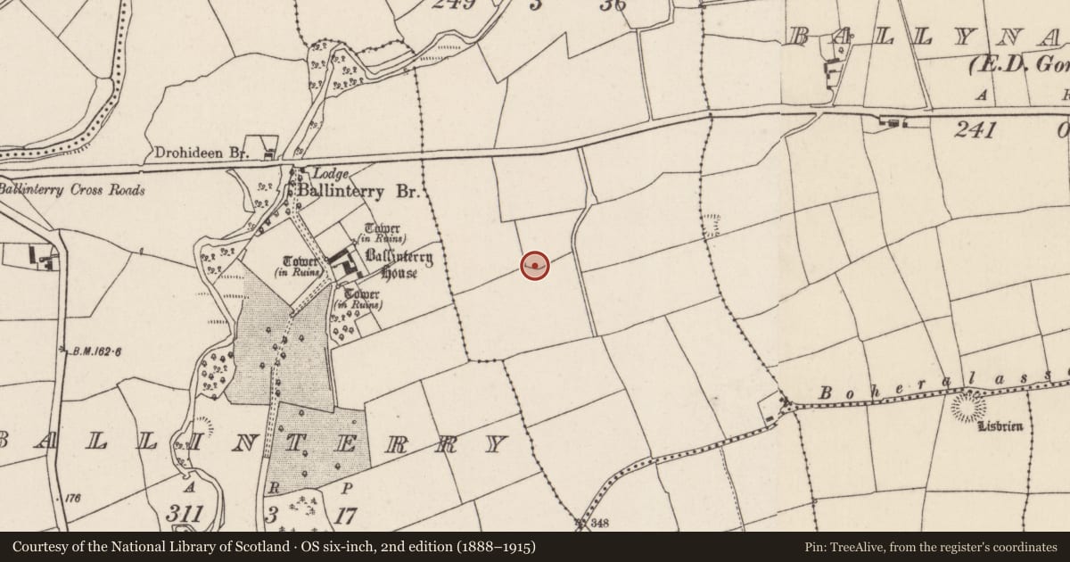 Ordnance Survey six-inch map, 2nd edition (1888–1915) covering the location of Quarry, Clykeel North, County Cork, with a pin at the register's coordinates