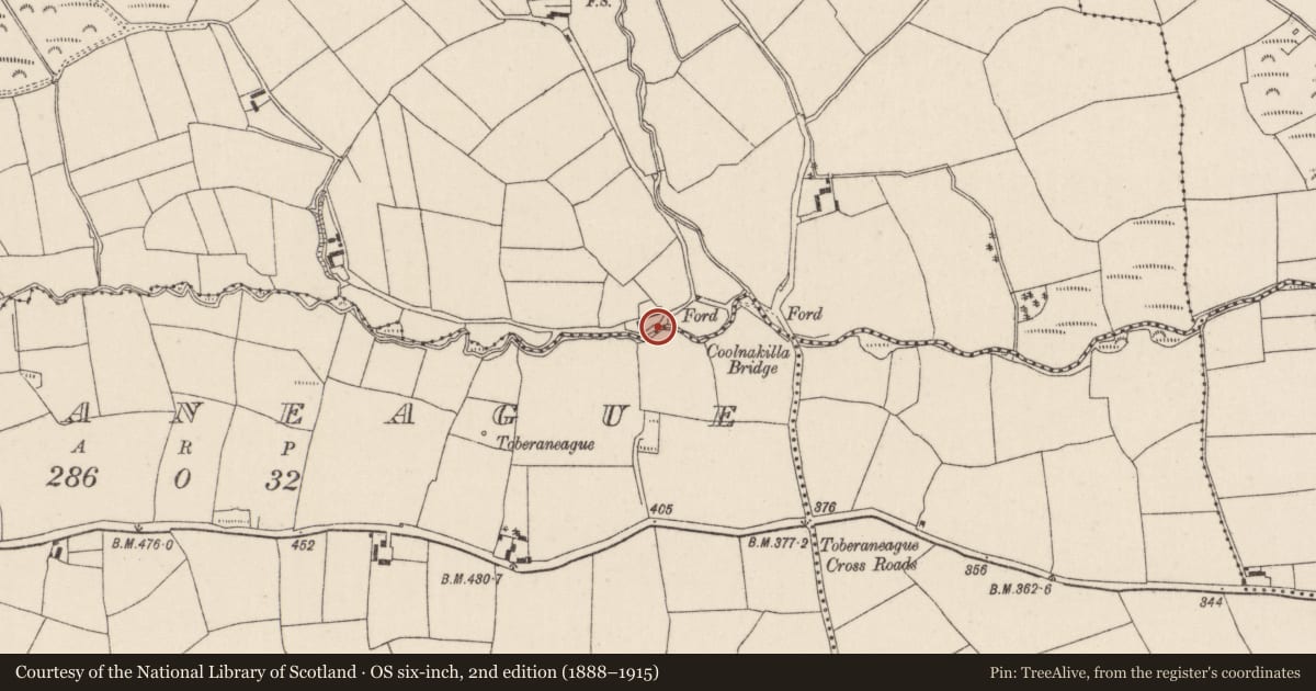 Ordnance Survey six-inch map, 2nd edition (1888–1915) covering the location of House - vernacular house, Coolnakilla, County Cork, with a pin at the register's coordinates
