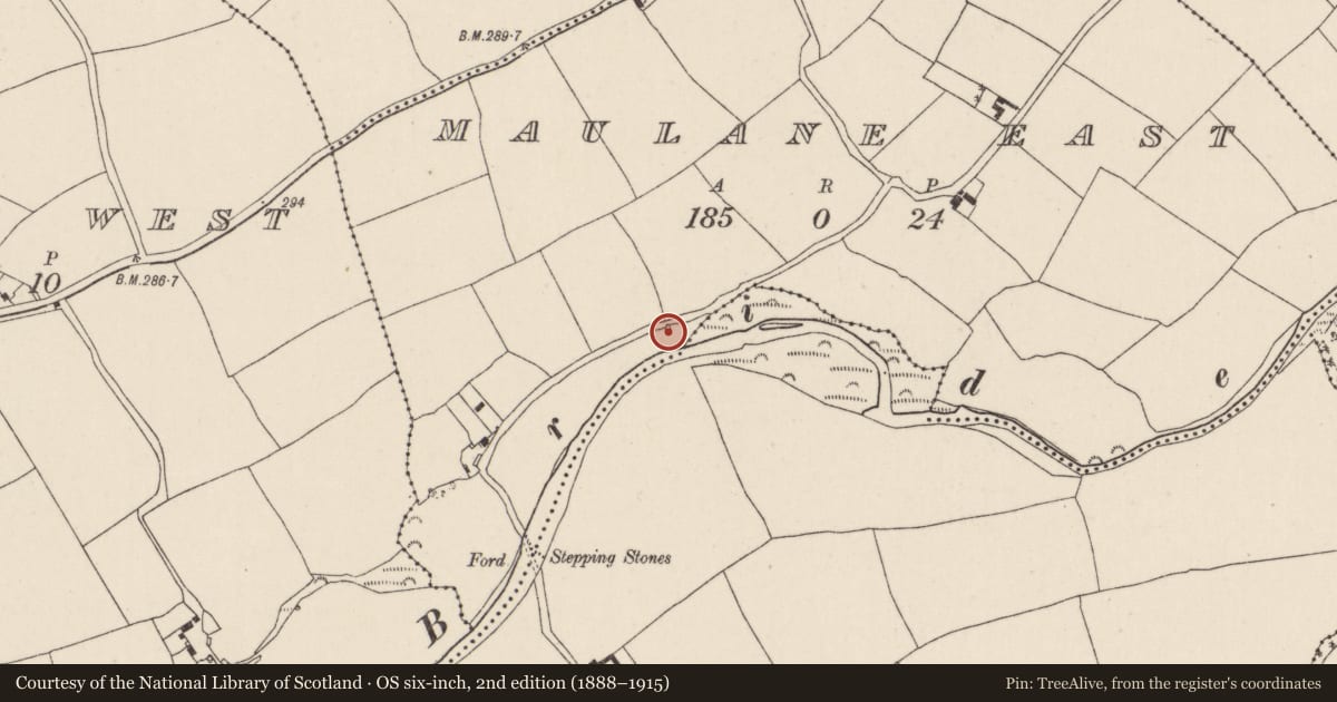 Ordnance Survey six-inch map, 2nd edition (1888–1915) covering the location of Kiln - lime, Maulane East, County Cork, with a pin at the register's coordinates