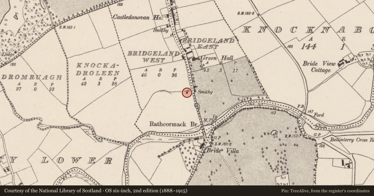 Ordnance Survey six-inch map, 2nd edition (1888–1915) covering the location of Kiln - lime, Bridgeland West, County Cork, with a pin at the register's coordinates