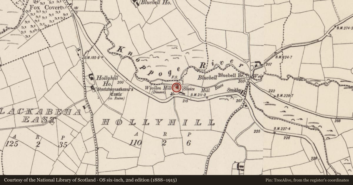 Ordnance Survey six-inch map, 2nd edition (1888–1915) covering the location of Mill - fulling, Hollyhill, County Cork, with a pin at the register's coordinates