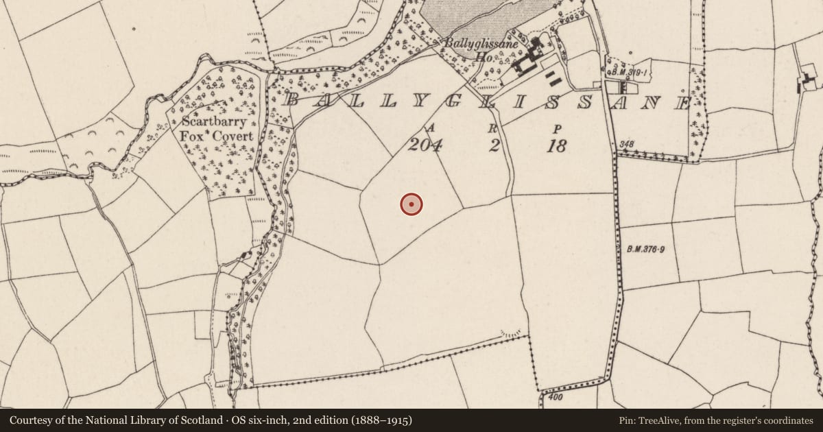 Ordnance Survey six-inch map, 2nd edition (1888–1915) covering the location of Souterrain, Ballyglissane, County Cork, with a pin at the register's coordinates