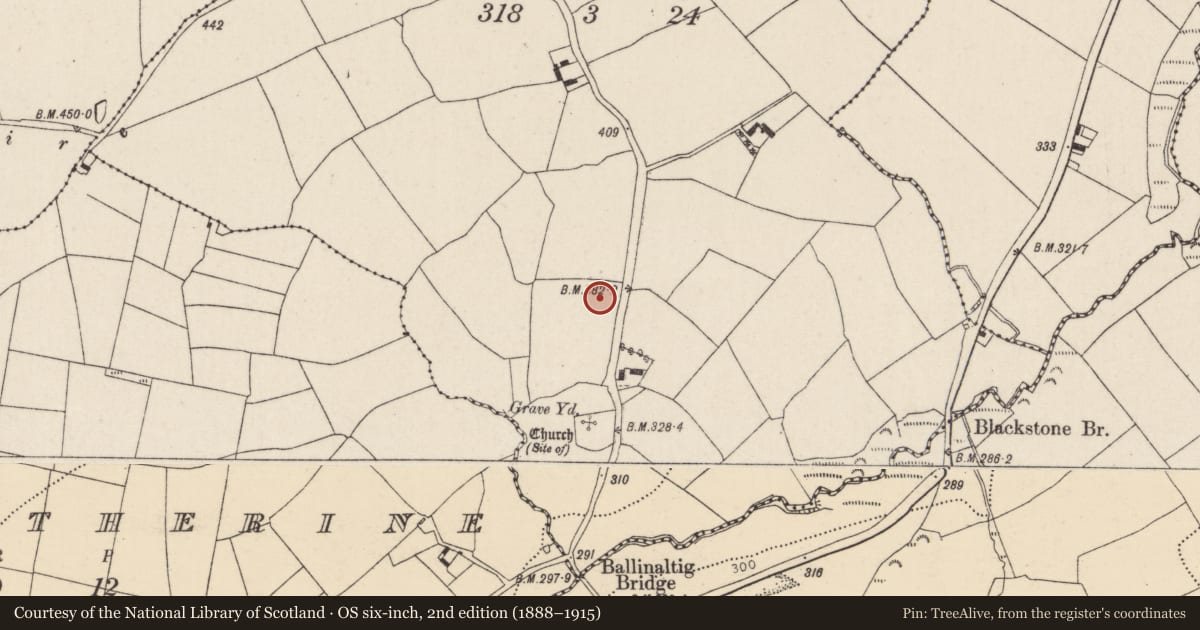 Ordnance Survey six-inch map, 2nd edition (1888–1915) covering the location of Enclosure, Ballinaltig, County Cork, with a pin at the register's coordinates