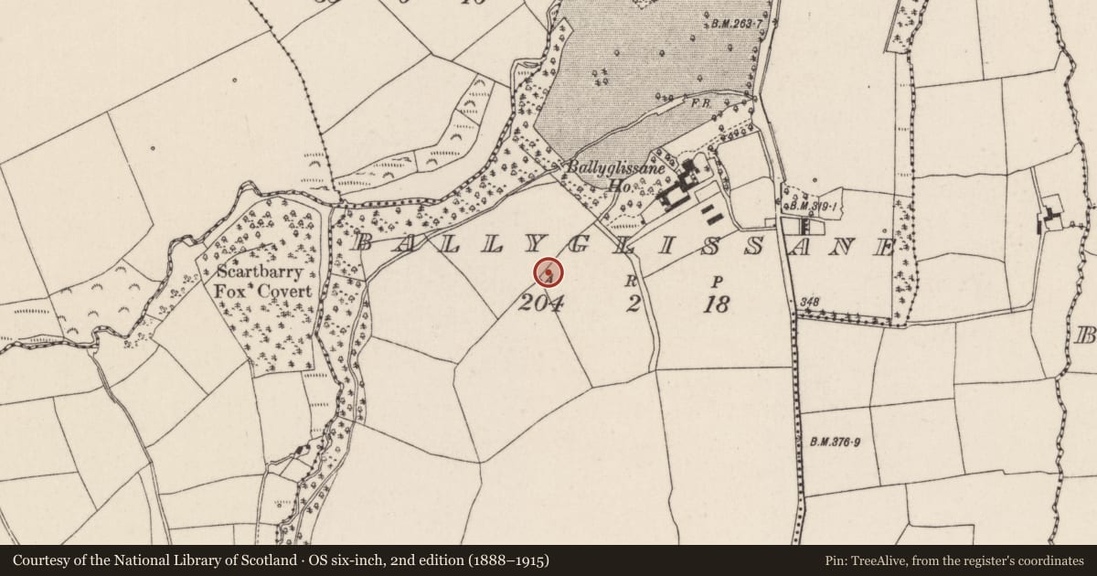 Ordnance Survey six-inch map, 2nd edition (1888–1915) covering the location of Souterrain, Ballyglissane, County Cork, with a pin at the register's coordinates
