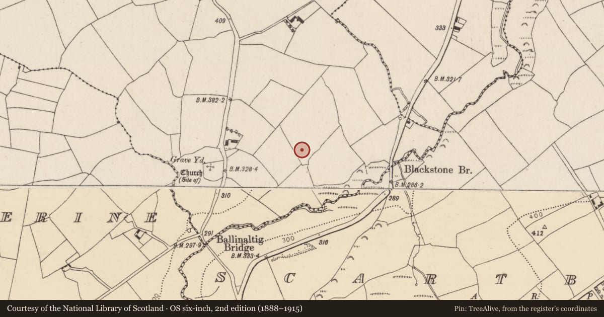 Ordnance Survey six-inch map, 2nd edition (1888–1915) covering the location of Burnt mound, Ballinaltig, County Cork, with a pin at the register's coordinates