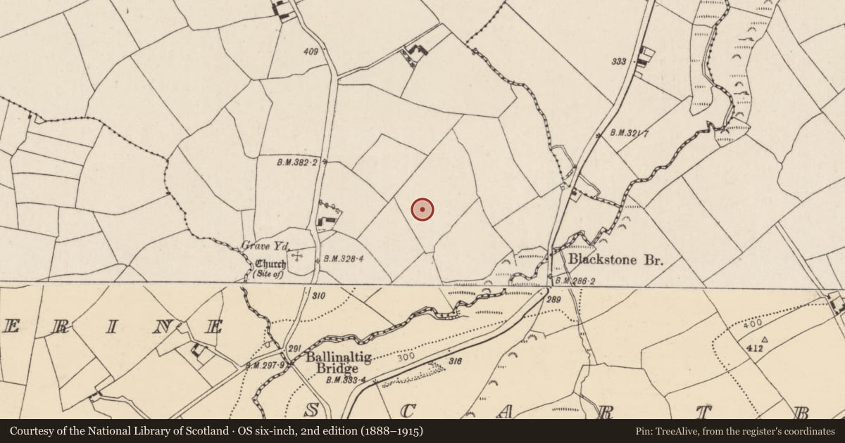 Ordnance Survey six-inch map, 2nd edition (1888–1915) covering the location of Burnt mound, Ballinaltig, County Cork, with a pin at the register's coordinates