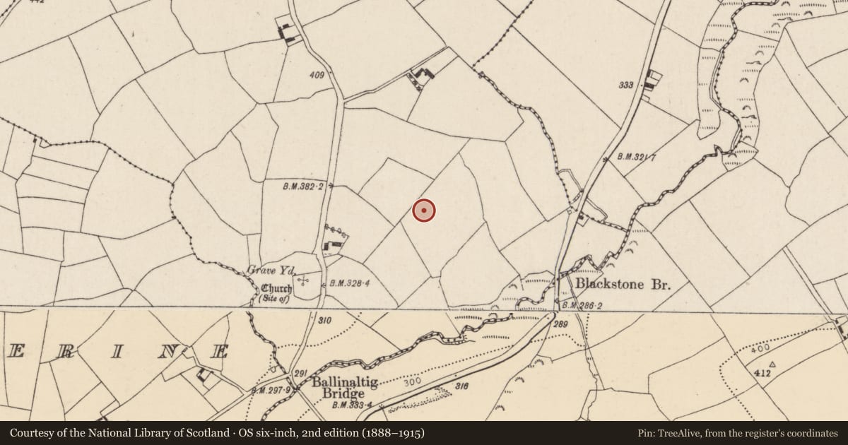 Ordnance Survey six-inch map, 2nd edition (1888–1915) covering the location of Burnt mound, Ballinaltig, County Cork, with a pin at the register's coordinates